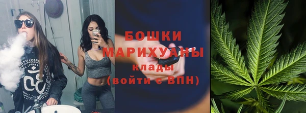 хмурый Лиски