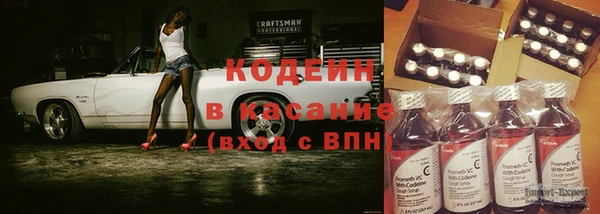 хмурый Лиски
