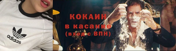 хмурый Лиски