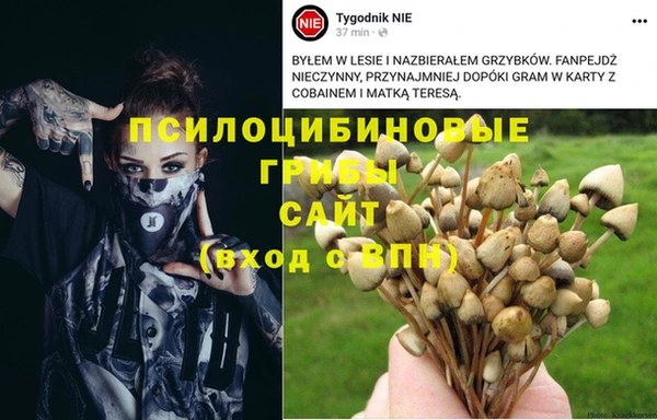 гашишное масло Анива