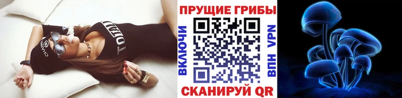 MEGA ссылка  Отрадное  Галлюциногенные грибы GOLDEN TEACHER  закладки 