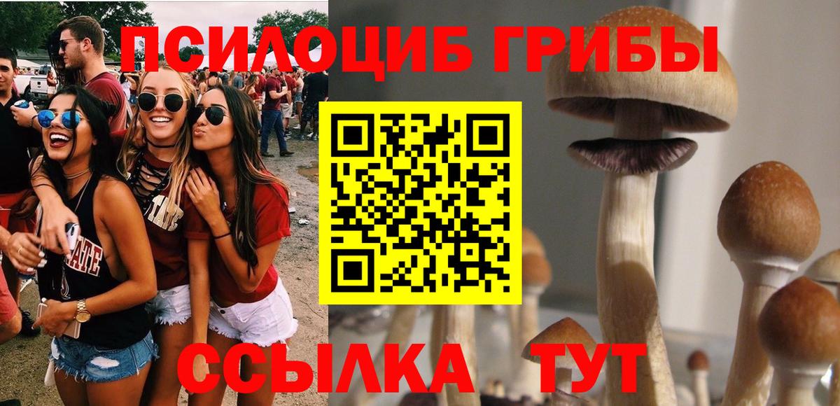 продажа наркотиков  Псилоцибиновые грибы прущие грибы  Вход с VPN  Отрадное 