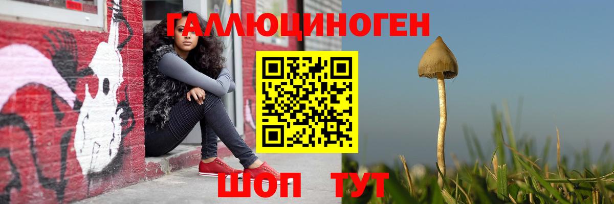 Галлюциногенные грибы GOLDEN TEACHER Отрадное