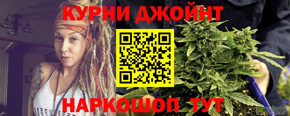 Бошки марихуана семена  Марихуана гибрид  Вход с VPN  Отрадное 